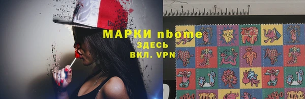 бошки Алексин