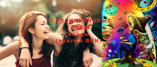 бошки Алексин