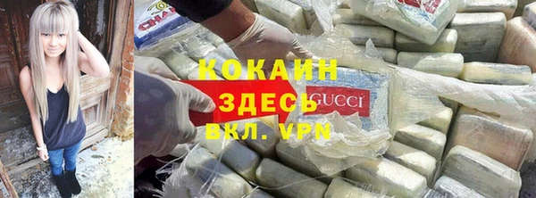 бошки Алексин