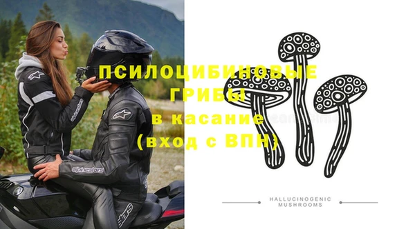 бошки Алексин