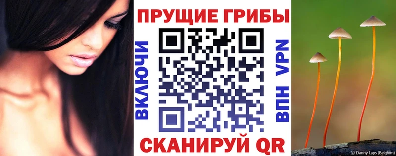 Псилоцибиновые грибы ЛСД Купить где Буй